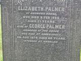 image of grave number 236618